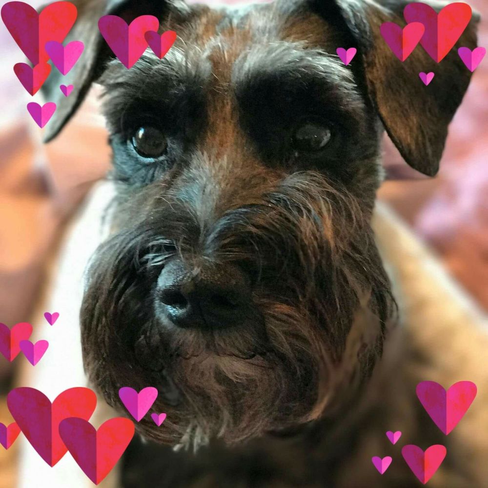 Meet your Posher, Patricia